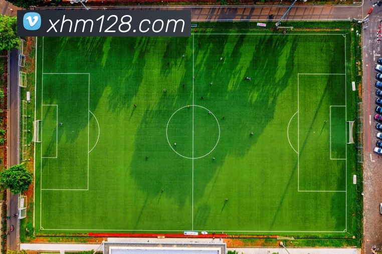 新濠天地线上官网平台生态图